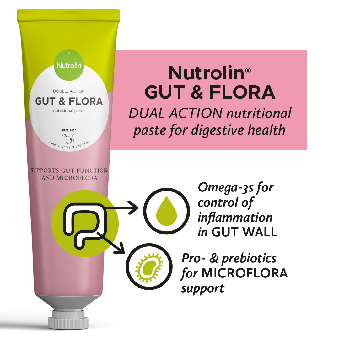 Nutrolin® Gut &amp; Flora paste