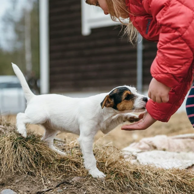 Let’s celebrate the bond between kids and animals this World Children's Day! Every child deserves the joy of forming a lifelong friendship with a furry companion. 🐶 😸 🐴 The love, compassion, and happiness they bring each other is priceless! 💚#Nutrolinlife #Nutrolin #WorldChildrensDay #KidsAndAnimals #LifelongBonds #LoveAndCompassion #AnimalFriendship