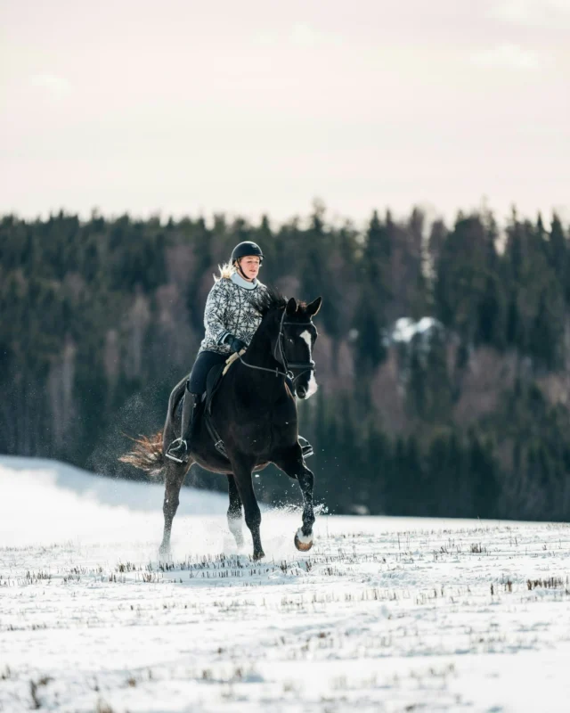 Nothing makes us happier than seeing you and your four-legged friends thrive together. We are delighted to be part of your journey this year, too! 💚⁠ ⁠We can’t wait to hear all about your adventures with Nutrolin® products! Share your stories and let us know how they’ve made a difference for you and your friend.
⁠
#Nutrolin #Nutrolinlife